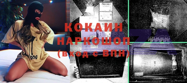 бошки Бородино