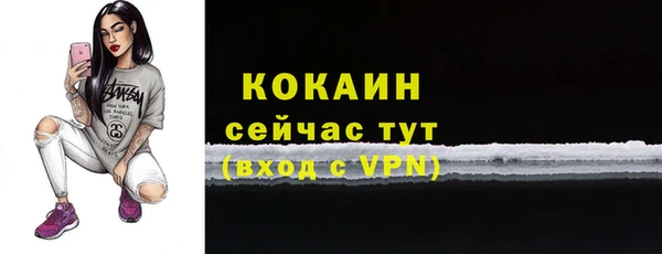 бошки Бородино