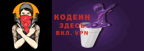 бошки Бородино
