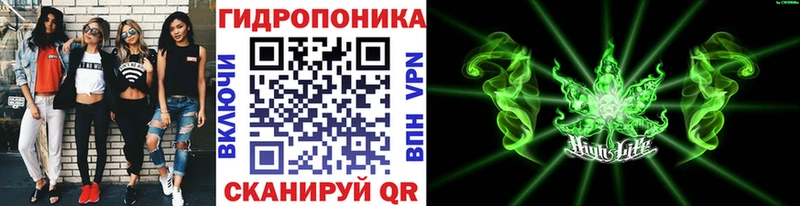 Марихуана индика  ссылка на мегу зеркало  Новосибирск 